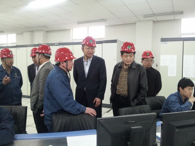 市国资委领导带队到安徽华塑集团考察电石项目