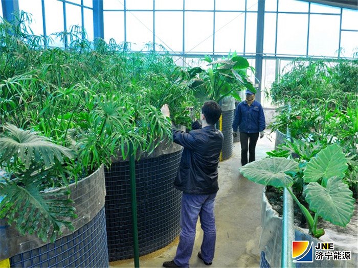 1563238161104872.jpg 花园煤矿:被济宁市环保局推荐为示范工程的花园煤矿污水处理站.jpg