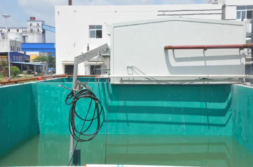 1625482559665392.jpg 1625482559665392.jpg