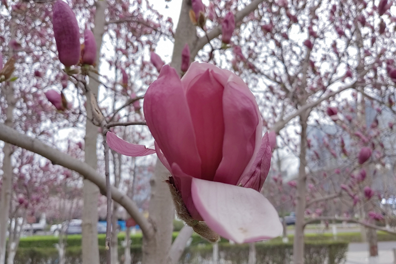 1648465188443223.jpg 01.jpg