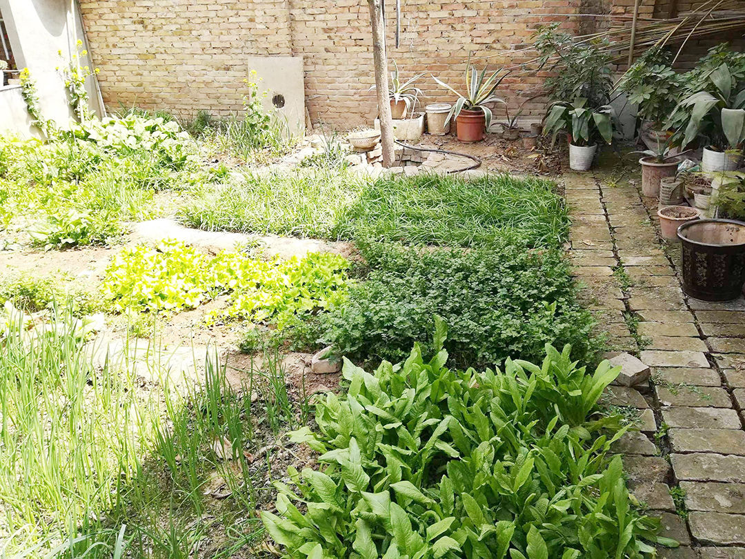 1661819607158927.jpg 微信图片_20220830081359.jpg