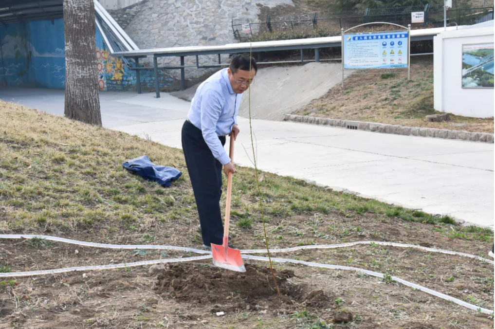 1712478269170448.png 1712478263014.png