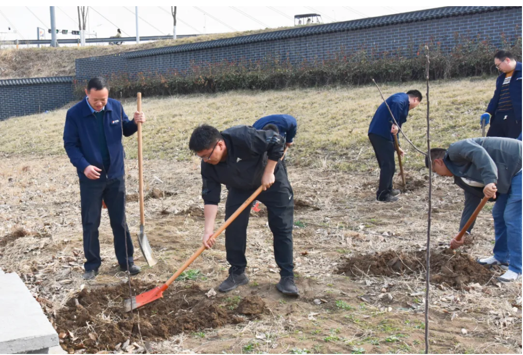 1712478336804694.png 1712478330159.png