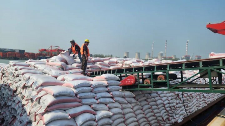 填补市场空白，济宁首船豆粕抵达江北物流园