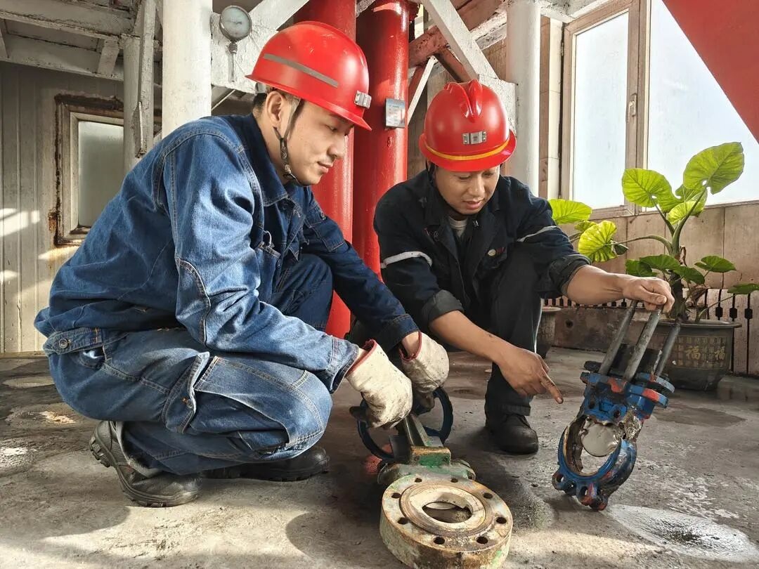 1766285685162488.jpg 0009.jpg