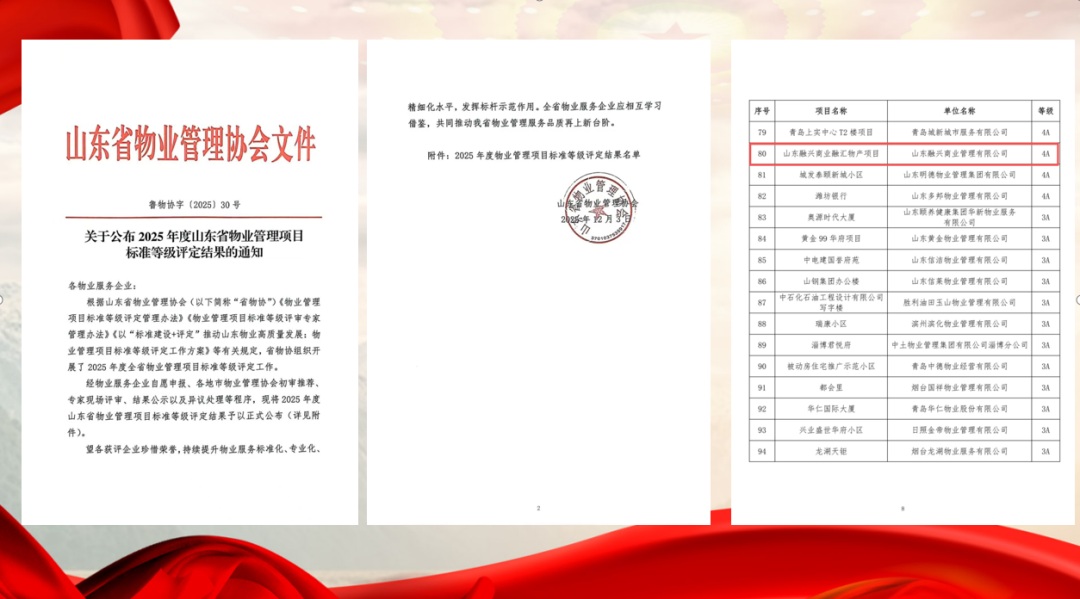 1766452702122283.jpg 004.jpg