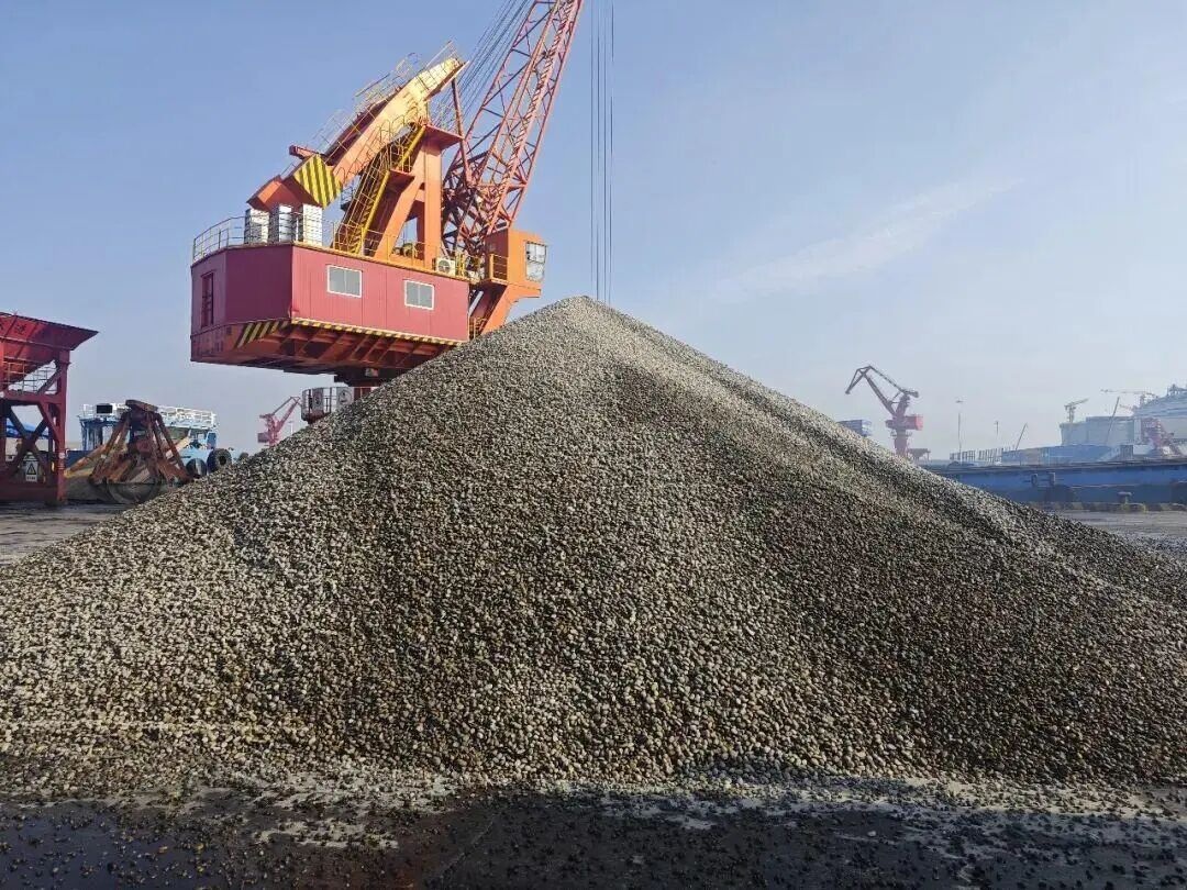 1767596655778057.jpg 04.jpg