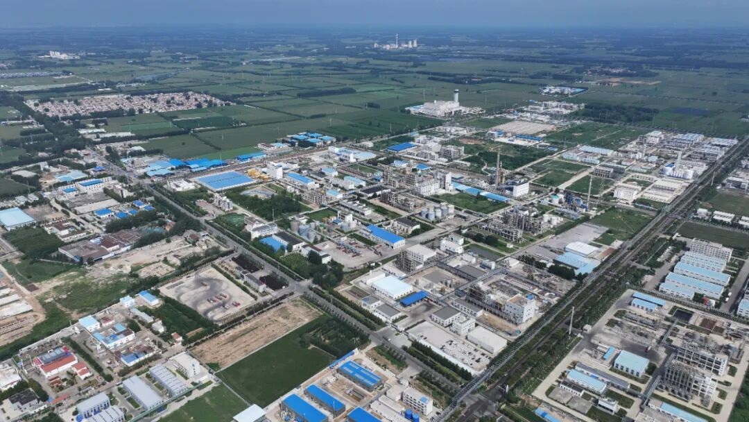 1768020999145017.jpg 03.jpg