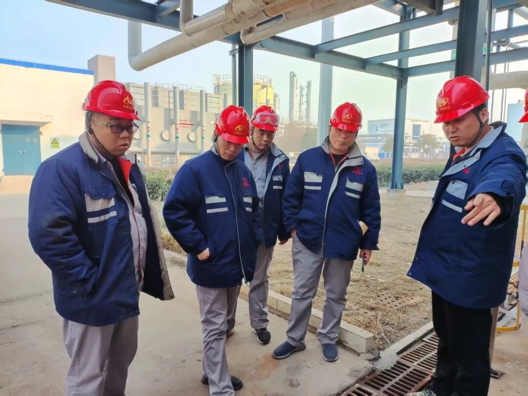 1768272550113788.jpg 03.jpg