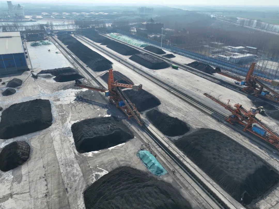 1768359204901343.jpg 02.jpg