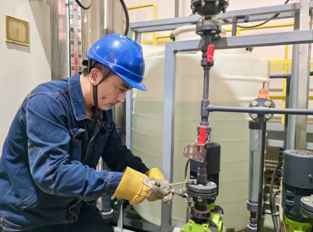 1771381614299286.jpg 02.jpg