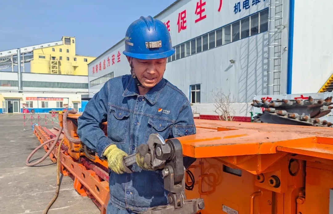 1773037534669187.jpg 02.jpg